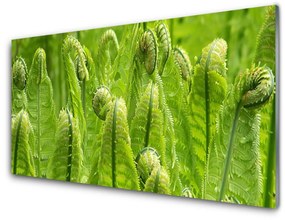 Akrilüveg fotó növény természet 100x50 cm