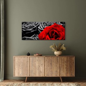 Kép - Rózsák (120x50 cm)