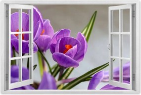 Poszterek 90x60 Krokus Virágok