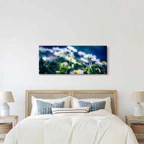 Százszorszépek képe (120x50 cm)