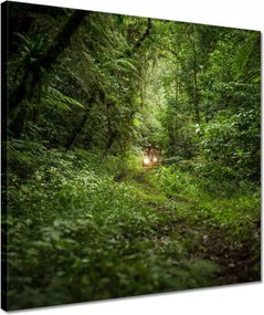 Vászonkép 40x40 Quad Négy kerék Terep