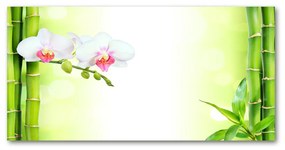 Akrilkép Orchidea és bambusz oah-82165838