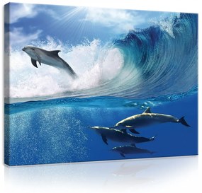 Vászonkép, Delfinek, 100x75 cm méretben