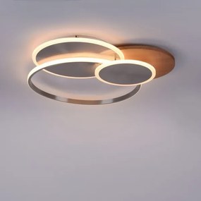 Paul Neuhaus 8328-79 - LED Dimmelhető mennyezeti lámpa PALMA LED/50W/230V + távirányító