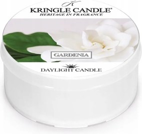 Daylight gyertya Gardenia Kringle Candle