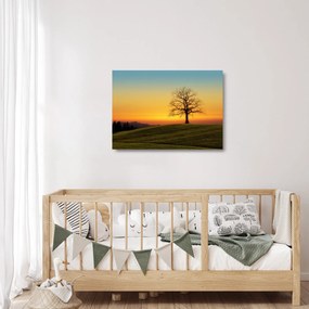 Egy fa képe a mezőn (üvegen) (70x50 cm)
