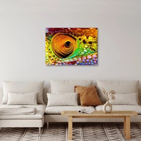 Kép - Kaméleon (70x50 cm)