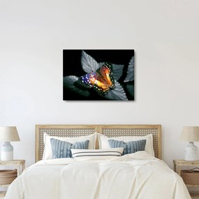 Pillangó képe (70x50 cm)