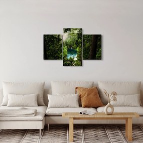 Kép - kilátás a fák között (90x60 cm)