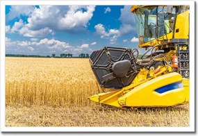 Poszterek keretben 60x40 Érett termések gyűjteménye