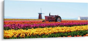 Tulipánfarm képe (120x50 cm)