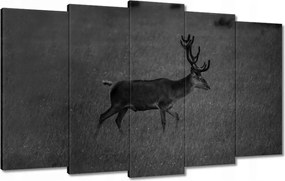 Vászonkép 100x60 Szarvas a tisztáson
