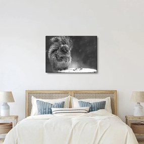 Kép - Mókus télen (70x50 cm)