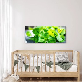 A menta képe (120x50 cm)