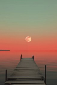 Poszter 40x60cm Hold a víz felett