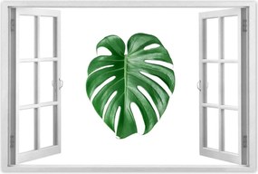 Poszter 60x40 Monstera Lyukas levél