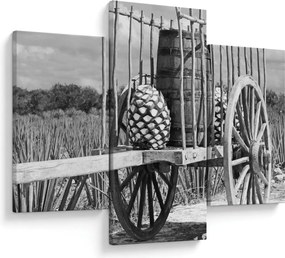 Kép - Utánfutó, fekete-fehér (90x60 cm)