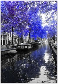 Poszterek 70x100 Búzavirág Amszterdam