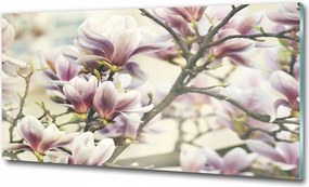 Fotótapéta falra edzett üveg Bazsarózsa 125x50