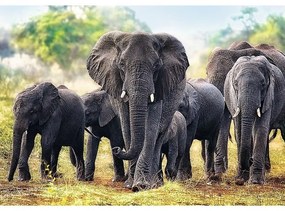 Trefl Afrikai elefántok puzzle, 1000 db
