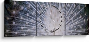 Kép - Fehér páva (órával) (90x30 cm)
