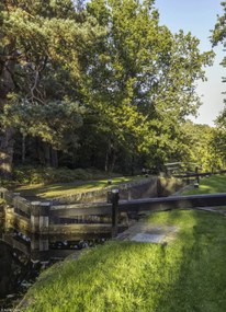 Poszter 20,5x28,4cm Basingstoke csatorna vidéken, Assaf Frank