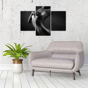 Kép - Meztelen nők (90x60 cm)