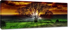 Vászonkép 100x40 Varázslatos fa