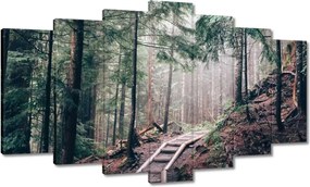 Festmények 140x80 Erdei ösvény