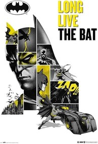 Plakát Batman - 80th Anniversary, (61 x 91.5 cm)