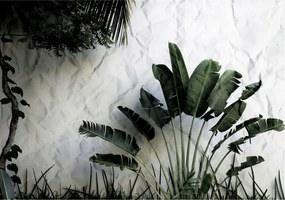 Fotótapéta Trópusi pálmalevelek zöld egzotikus relaxáció 208x146 +ragasztó