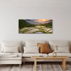 Kép - Rizsteraszok (120x50 cm)