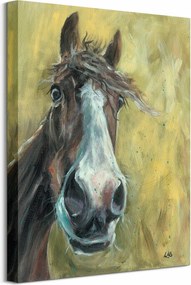 Barna ló vászonkép 40x50 cm