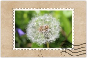 Poszterek 120x80 Pitypang Virág Virágok