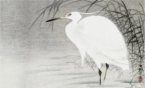 Fotótapéta Flizelin Dekoratív Hálószoba Vízi táj 416x254