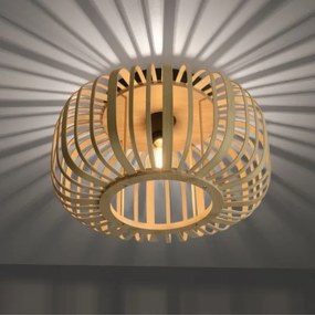 Leuchten Direkt 11412-79 - RACOON mennyezeti lámpa 1xE27/40W/230V, Ø 40 cm