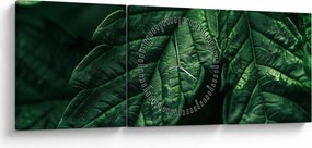 Kép - A lap részletei (órával) (90x30 cm)