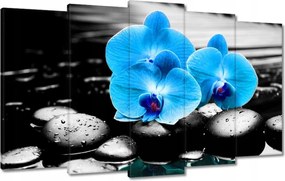 Vászonkép 100x60 Türkiz orchidea Virág