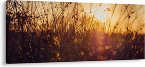 A mező képe naplementekor (120x50 cm)