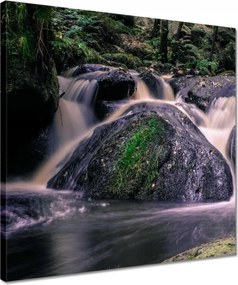Vászonkép 40x40 Folyó víz a patakban