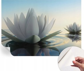 Öntapadós fotótapéta Nappaliba és Hálószobába Vízililiomok 208x146 cm