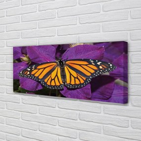Canvas képek Színes pillangó virágok 120x60 cm