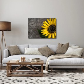 Kép - Napraforgó virága (70x50 cm)
