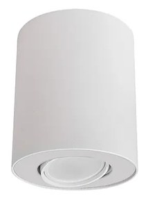 Nowodvorski SET mennyezeti lámpa, fehér, GU10 foglalattal, 1x10W, TL-8895