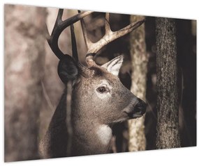 Kép - Szarvas az erdőben (90x60 cm)