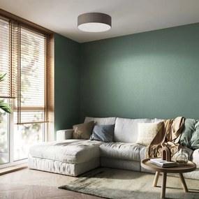 FISCHER&HONSEL 21258 MAAT Ernyős Mennyezeti Lámpa Szürke E14 IP20