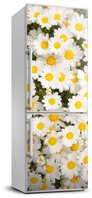 Hűtőre ragasztható matrica Százszorszép virágok FridgeStick-70x190-f-83272267