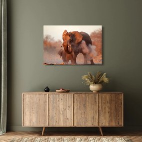 Kép - Nagy afrikai elefánt (90x60 cm)