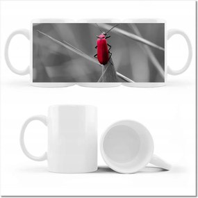 Fényképes bögre Szeged