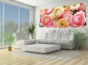Ranunculusy fotótapéta pasztell frissesség a falakon 250x104 +ragasztó